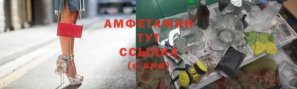 соль ск Бородино