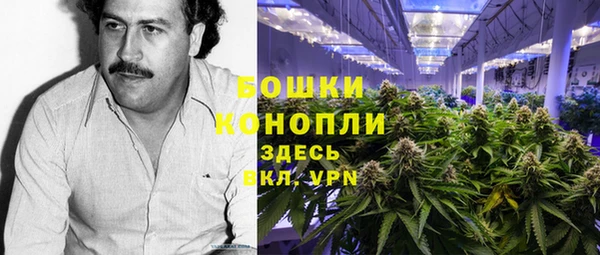 мдпв Бронницы