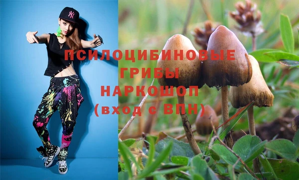 мдпв Бугульма