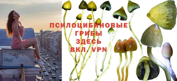 мдпв Бронницы