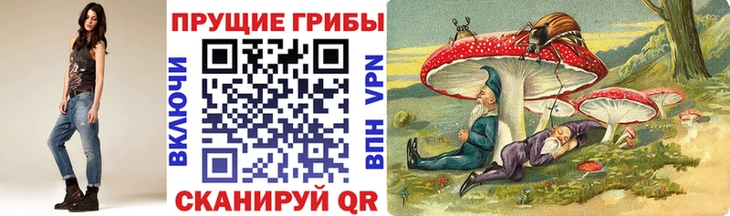 MEGA зеркало хочу Макаров Галлюциногенные грибы прущие грибы
