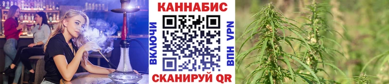 Бошки Шишки OG Kush Макаров